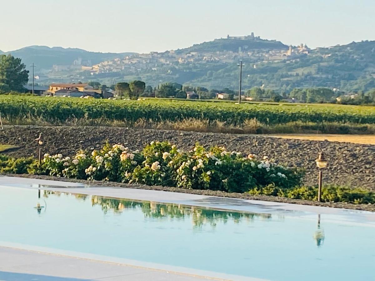 Borgo Degli Angeli Resort E Spa San Vitale Eksteriør billede