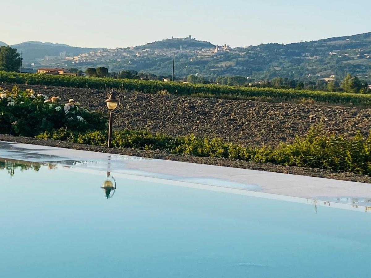 Borgo Degli Angeli Resort E Spa San Vitale Eksteriør billede